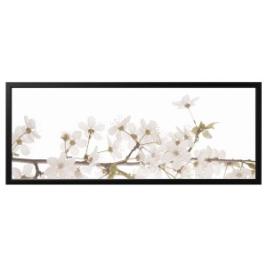 IKEA BJÖRKSTA picture and frame, 55x22 in White Flowers / Black, Ikea Ireland | 6785MWZOB