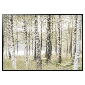 IKEA BJÖRKSTA picture and frame, 78 ¾x55 in Birches / Black, Ikea Ireland | 0896KQSWI