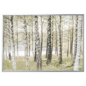 IKEA BJÖRKSTA picture and frame, 78 ¾x55 in Birches / Aluminum Color, Ikea Ireland | 0387BPDRU