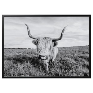 IKEA BJÖRKSTA picture and frame, curious cow, 55x39 ¼ in Black, Ikea Ireland | 9741GNLMX