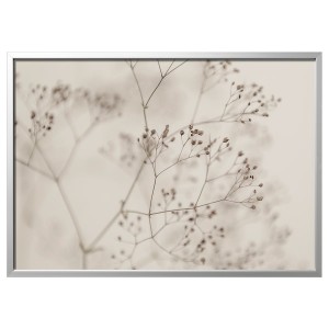 IKEA BJÖRKSTA picture and frame, flowers-close up, 55x39 ¼ in Aluminum Color, Ikea Ireland | 7560DBANR