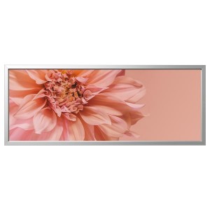 IKEA BJÖRKSTA picture and frame, flowers-in, 55x22 in Pink / Aluminum Color, Ikea Ireland | 4820WJPLZ