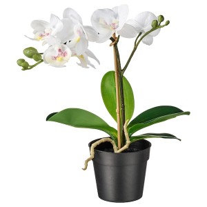 IKEA FEJKA artificial potted plant, 3 ½ in Orchid White, Ikea Ireland | 9364XYSZH