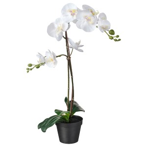 IKEA FEJKA artificial potted plant, 4 ¾ in Orchid White, Ikea Ireland | 0273LYXSW