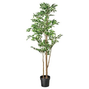 IKEA FEJKA artificial potted plant, indoor/outdoor Weeping fig, 8 ¼ in, Ikea Ireland | 2079HCJWP