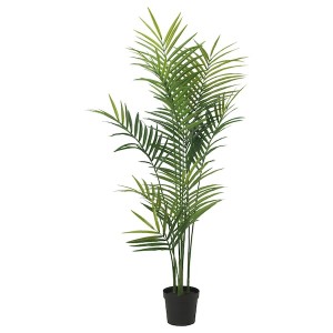 IKEA FEJKA artificial potted plant, indoor/outdoor, 9 in Kentia Palm, Ikea Ireland | 6943JOWRH