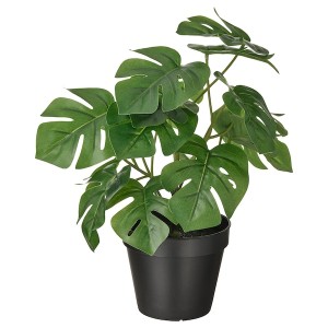IKEA FEJKA artificial potted plant, indoor/outdoor, 4 ¾ in Monstera, Ikea Ireland | 3067UIOPH