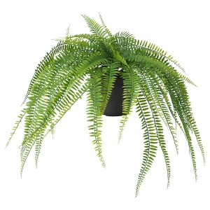 IKEA FEJKA artificial potted plant, indoor/outdoor, 4 ¾ in Hanging / Fern, Ikea Ireland | 7834VQKTU