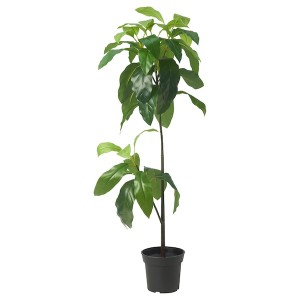 IKEA FEJKA artificial potted plant, indoor/outdoor, 6 in Avocado, Ikea Ireland | 4058HMEUJ