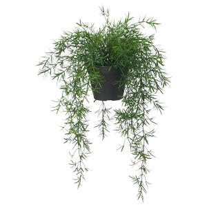 IKEA FEJKA artificial potted plant, indoor/outdoor, 4 ¾ in Asparagus / Hanging, Ikea Ireland | 9135KZSJO