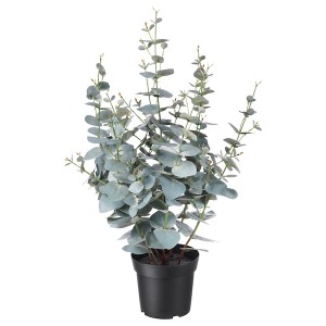 IKEA FEJKA artificial potted plant, indoor/outdoor, 6 in Eucalyptus, Ikea Ireland | 1589ZJMBC