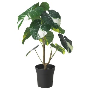 IKEA FEJKA artificial potted plant, indoor/outdoor, 7 ½ in Elephant Ear, Ikea Ireland | 8613OFDCL