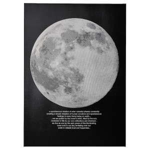 IKEA PJÄTTERYD picture, 19 ¾x27 ½ in Moonlight, Ikea Ireland | 0218QHOTW