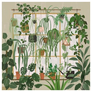 IKEA PJÄTTERYD picture, 22x22 in Garden Shop Window, Ikea Ireland | 9306WEMOX