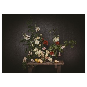IKEA PJÄTTERYD picture, 27 ½x19 ¾ in Flowers / Against A Black Wall, Ikea Ireland | 5072JWMNX