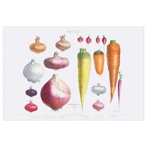 IKEA PJÄTTERYD picture, Onions, radishes and carrots, 46 ½x30 ¾ in, Ikea Ireland | 1346JKURC