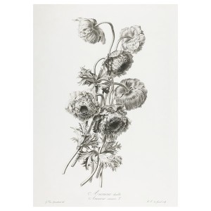 IKEA PJÄTTERYD picture, a bouquet, 19 ¾x27 ½ in A Bouquet, Ikea Ireland | 6318JAEYL