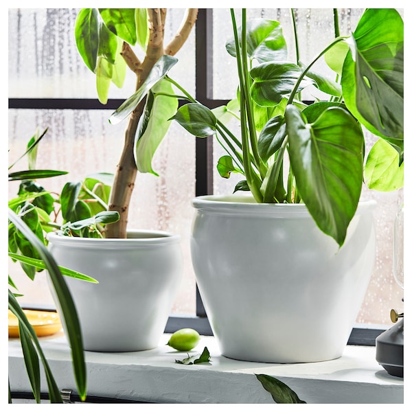 IKEA AMBRARÖNN plant pot, indoor/outdoor/white, 6 in, Ikea Ireland | 4573SOEDU