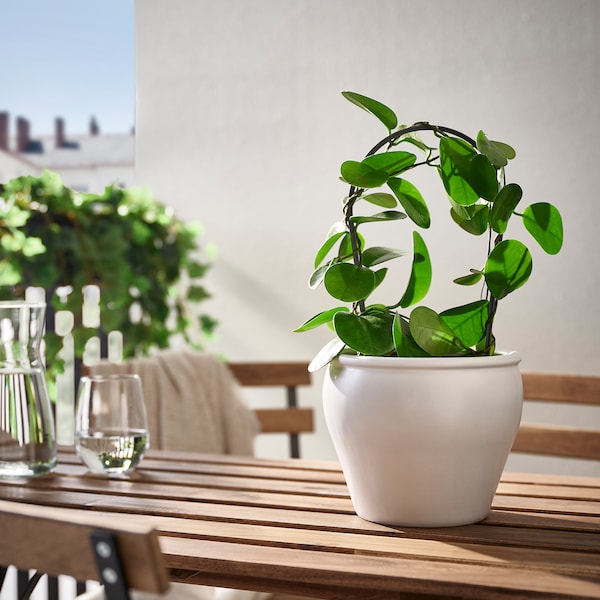IKEA AMBRARÖNN plant pot, indoor/outdoor/white, 6 in, Ikea Ireland | 4573SOEDU