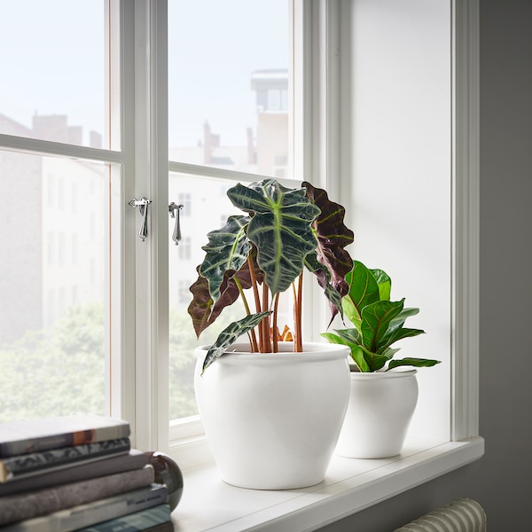 IKEA AMBRARÖNN plant pot, indoor/outdoor/white, 7 ½ in, Ikea Ireland | 2769JTFEQ