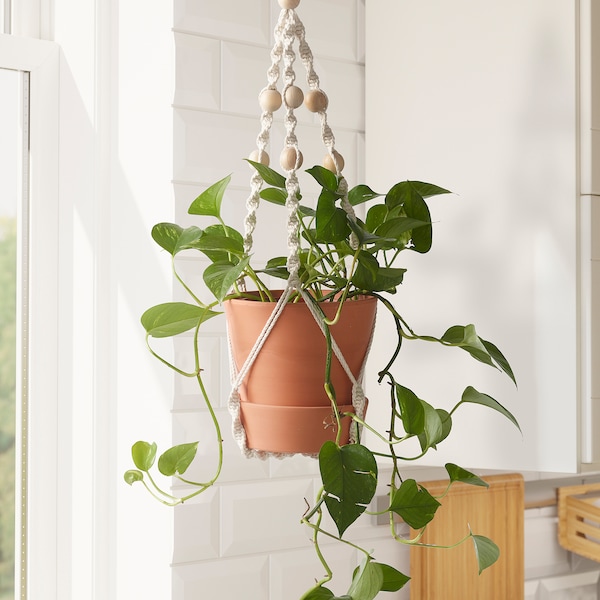 IKEA ANVÄNDBAR hanging plant holder, hanging/natural, Ikea Ireland | 9870MZLYG