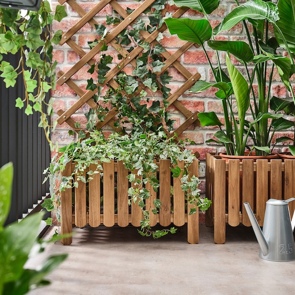 IKEA ASKHOLMEN flower box with trellis, outdoor Dark Brown, Ikea Ireland | 9678NAWKF