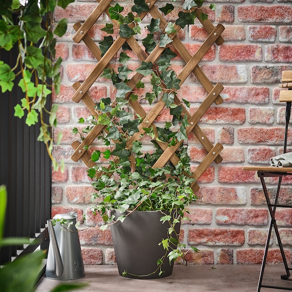 IKEA ASKHOLMEN trellis Dark Brown, Ikea Ireland | 9742VDUJR