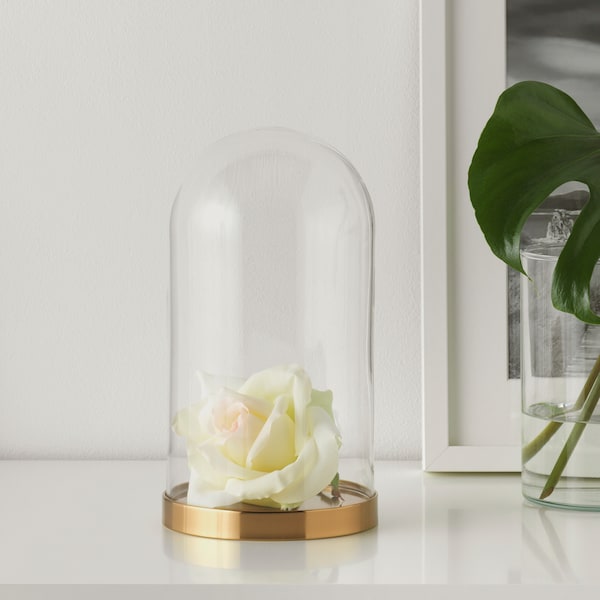 IKEA BEGÅVNING glass dome with base, 10 in, Ikea Ireland | 7682RKVOQ