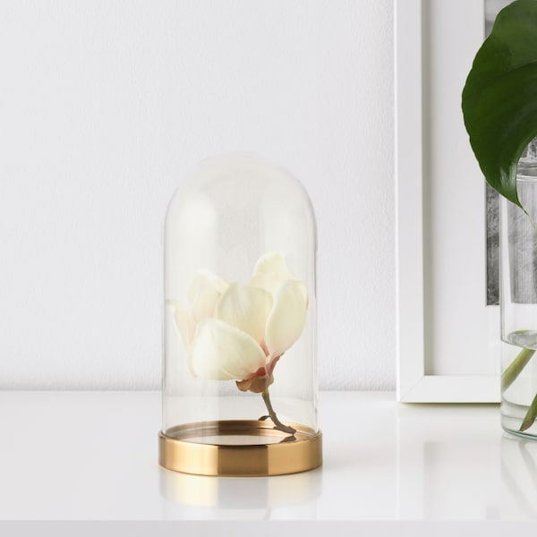 IKEA BEGÅVNING glass dome with base, 7 in, Ikea Ireland | 8576CBTZY