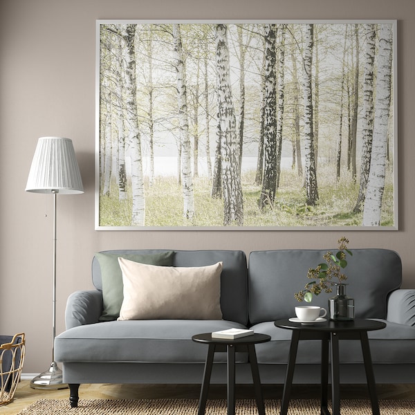 IKEA BJÖRKSTA picture and frame, 78 ¾x55 in Birches / Aluminum Color, Ikea Ireland | 0387BPDRU