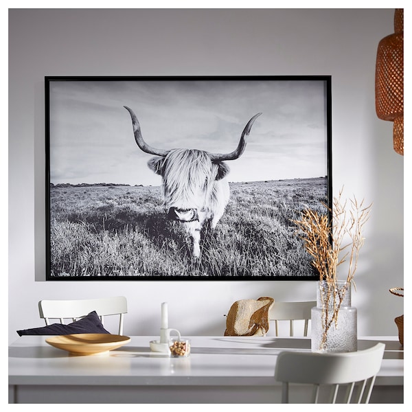 IKEA BJÖRKSTA picture and frame, curious cow, 55x39 ¼ in Black, Ikea Ireland | 9741GNLMX