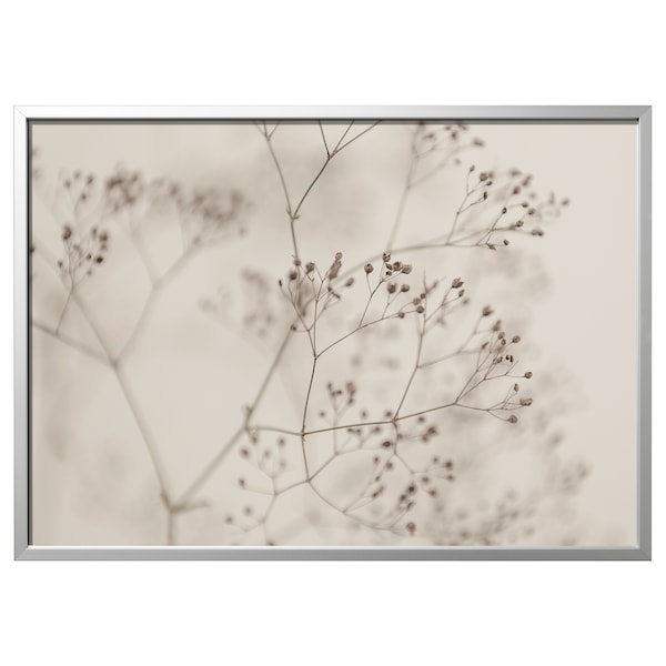 IKEA BJÖRKSTA picture and frame, flowers-close up, 55x39 ¼ in Aluminum Color, Ikea Ireland | 7560DBANR