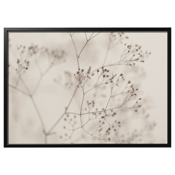 IKEA BJÖRKSTA picture and frame, flowers-close up, 55x39 ¼ in Black, Ikea Ireland | 5614AOIXT