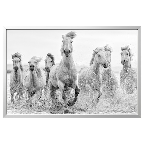 IKEA BJÖRKSTA picture and frame, horses at the water´s edge, 46 ½x30 ¾ in Aluminum Color, Ikea Ireland | 0215MDXVB
