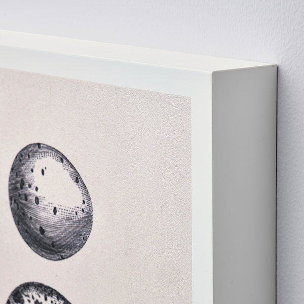 IKEA BJÖRNAMO art print on hollow wood, eggs, 7 ¾x11 ¾ in, 2 pack, Ikea Ireland | 0649OZFUK