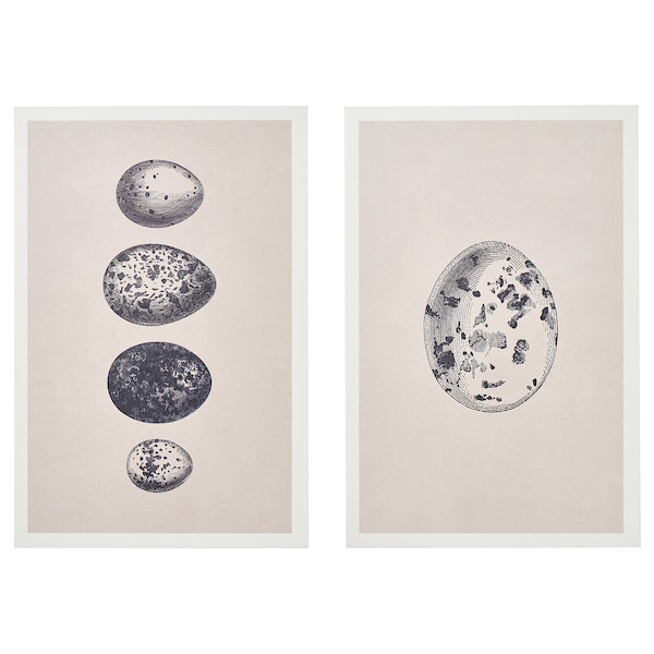 IKEA BJÖRNAMO art print on hollow wood, eggs, 7 ¾x11 ¾ in, 2 pack, Ikea Ireland | 0649OZFUK