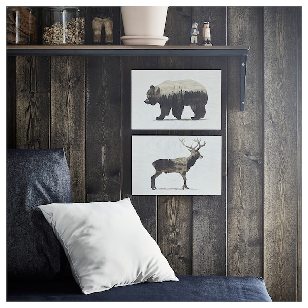 IKEA BJÖRNAMO picture, set of 2, Wild animals II, 11 ¾x7 ¾ in, Ikea Ireland | 4258MPSFE
