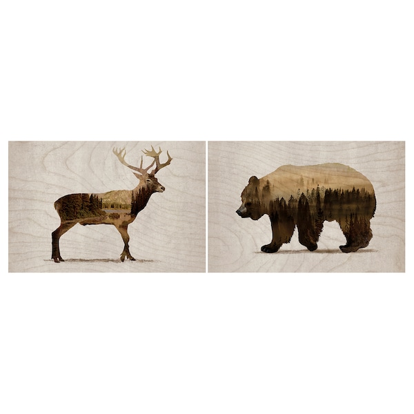 IKEA BJÖRNAMO picture, set of 2, Wild animals II, 11 ¾x7 ¾ in, Ikea Ireland | 4258MPSFE