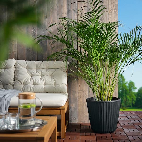 IKEA BJÖRNBAMBU plant pot, indoor/outdoor dark gray, 12 ½ in, Ikea Ireland | 0593QRKMI