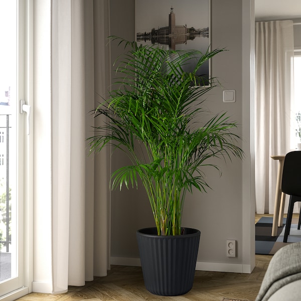 IKEA BJÖRNBAMBU plant pot, indoor/outdoor dark gray, 12 ½ in, Ikea Ireland | 0593QRKMI