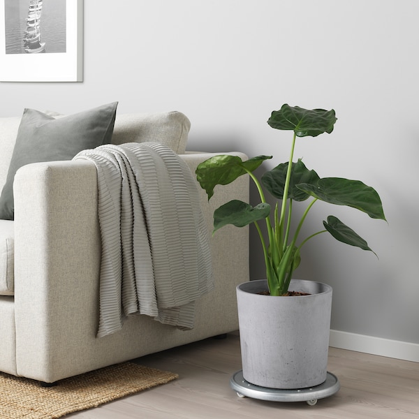 IKEA BOYSENBÄR plant pot, indoor/outdoor light gray, 9 ½ in, Ikea Ireland | 0942QDTUW