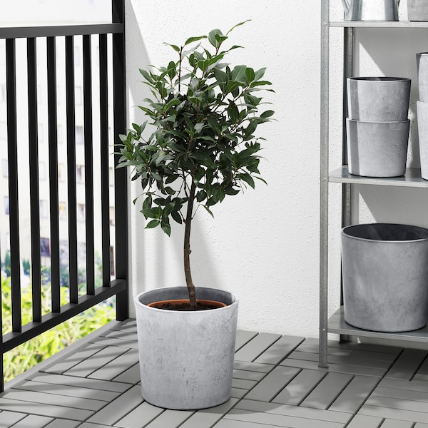 IKEA BOYSENBÄR plant pot, indoor/outdoor light gray, 9 ½ in, Ikea Ireland | 0942QDTUW
