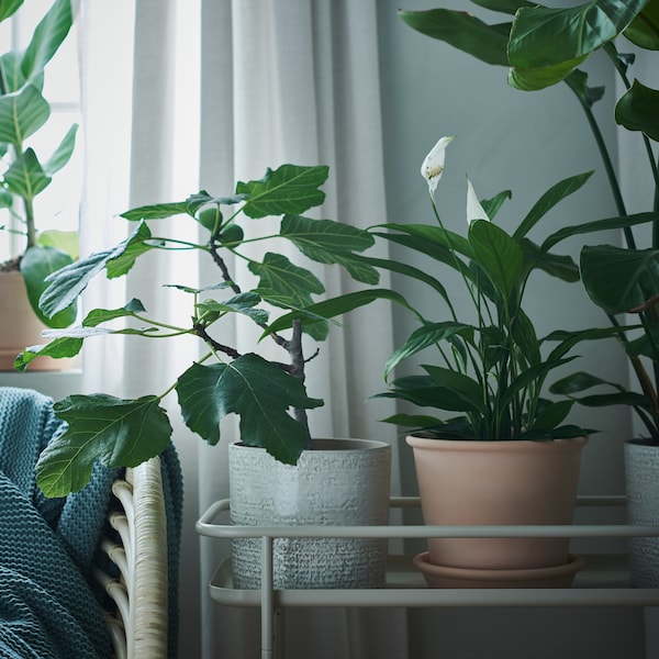 IKEA CHIAFRÖN plant pot, 6 in White, Ikea Ireland | 6310DHXCM