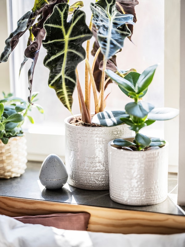 IKEA CHIAFRÖN plant pot, 6 in White, Ikea Ireland | 6310DHXCM