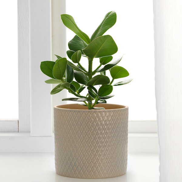 IKEA CHIAFRÖN plant pot, indoor/outdoor, 6 in Light Gray, Ikea Ireland | 7043IXNZY