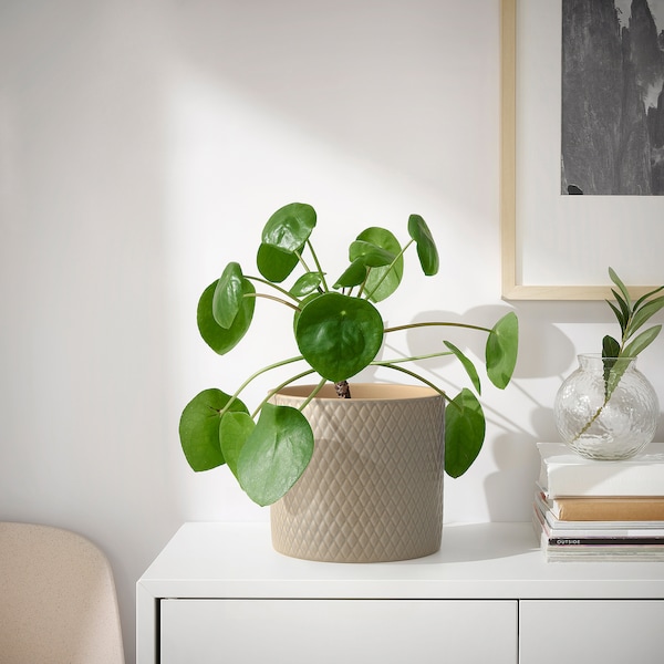 IKEA CHIAFRÖN plant pot, indoor/outdoor, 6 in Light Gray, Ikea Ireland | 7043IXNZY