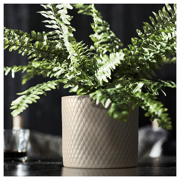 IKEA CHIAFRÖN plant pot, indoor/outdoor, 6 in Light Gray, Ikea Ireland | 7043IXNZY