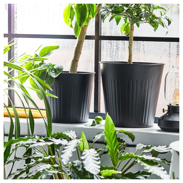 IKEA CITRONMELISS plant pot, indoor/outdoor/anthracite, 12 ½ in, Ikea Ireland | 3417DRVQZ