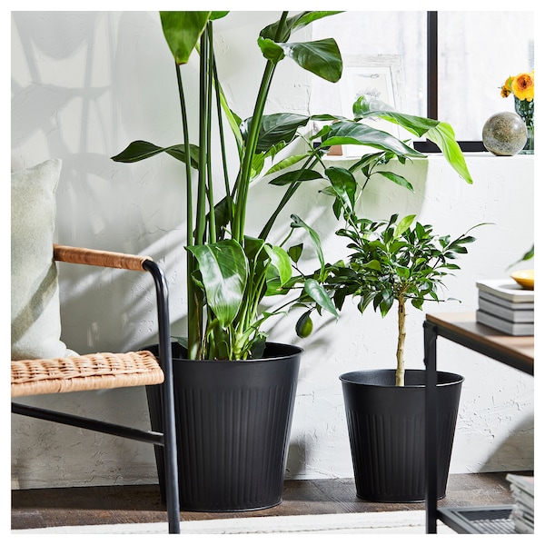 IKEA CITRONMELISS plant pot, indoor/outdoor/anthracite, 12 ½ in, Ikea Ireland | 3417DRVQZ