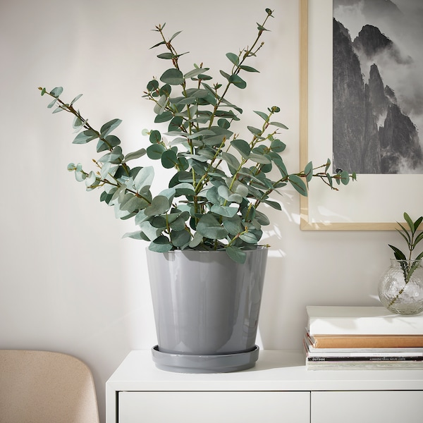 IKEA CITRUSFRUKT plant pot with saucer, indoor/outdoor gray, 7 ½ in, Ikea Ireland | 6507YGLEZ